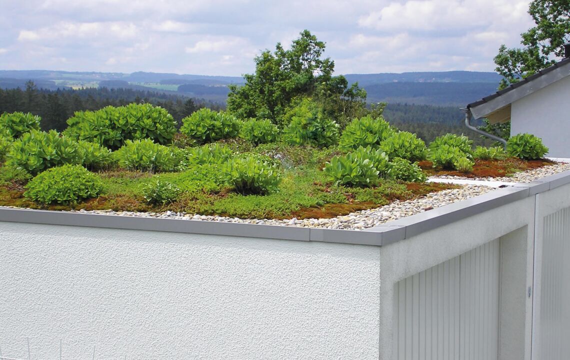 Dachbegrünung Ihrer Garage: Entdecken Sie die verfügbaren Förderprogramme  in Deutschland - ZAPF-Garagen