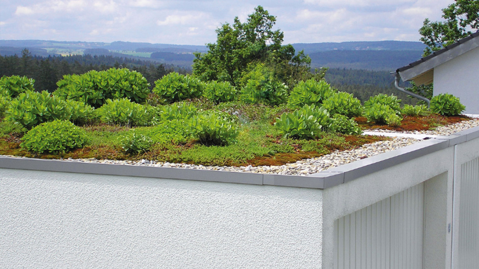 Flachdach-Garage mit nachhaltiger Dachbegrünung in grüner Landschaft.