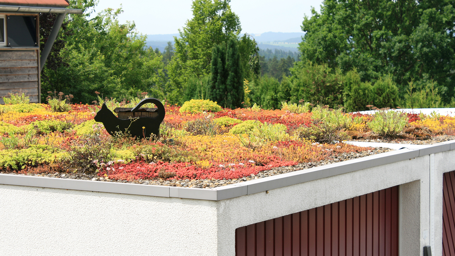 Garage mit extensiv begrünter Dachfläche und dekorativer Katzenfigur, umgeben von grüner Natur.