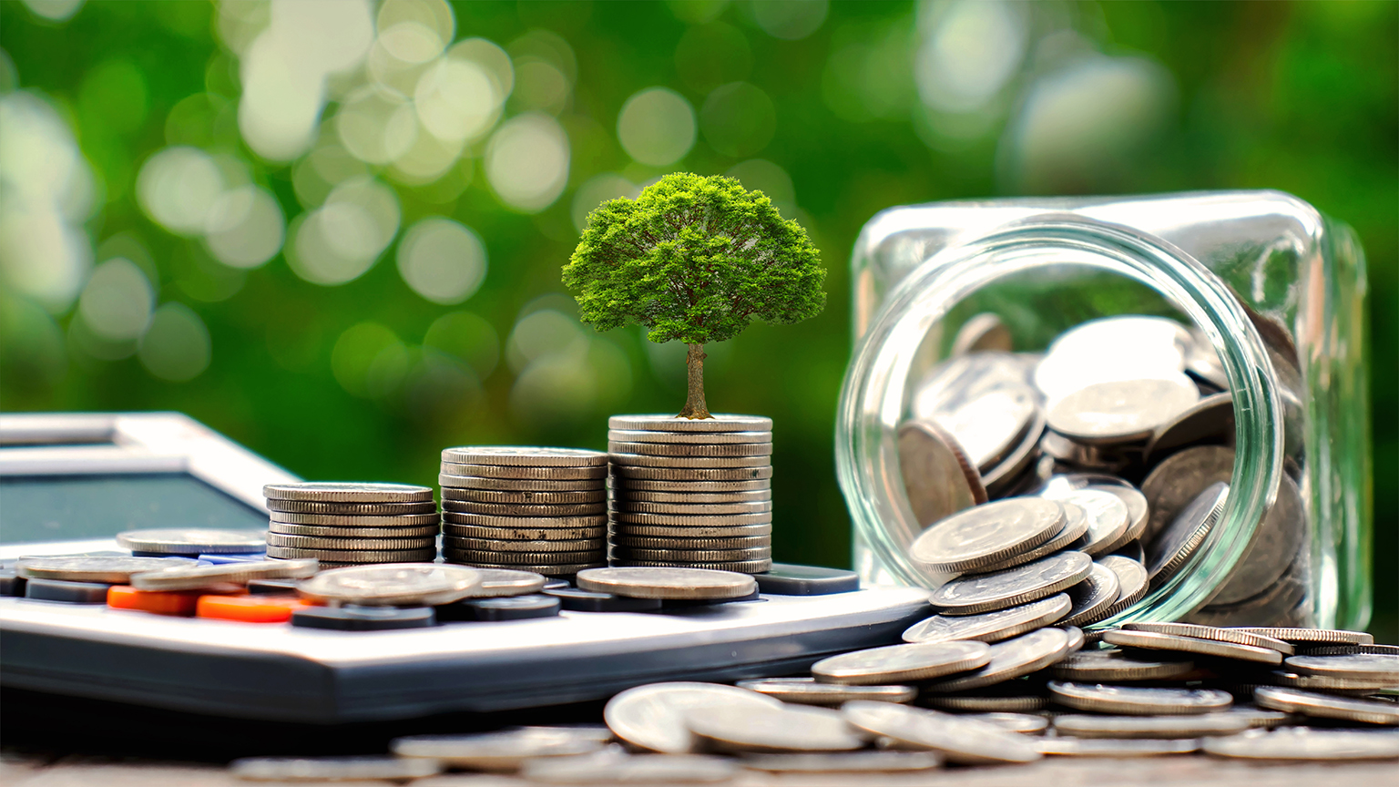 Gestapeltes Münzgeld mit kleinem Baum als Symbol für nachhaltige Investitionen und Umweltbewusstsein.