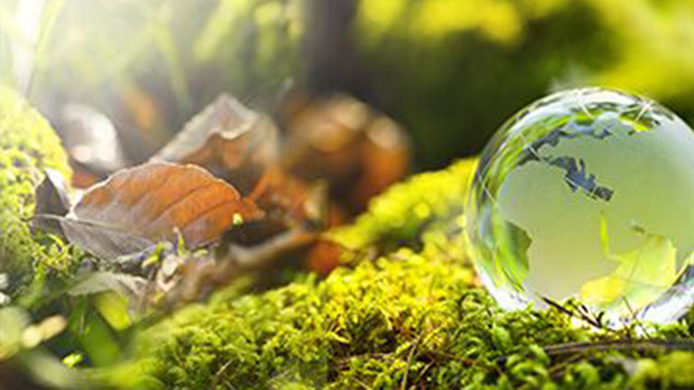 Un globe de verre avec un motif de carte du monde est posé sur un sol forestier couvert de mousse à côté de feuilles d'automne dans la lumière du soleil - symbole de protection de l'environnement et de durabilité.