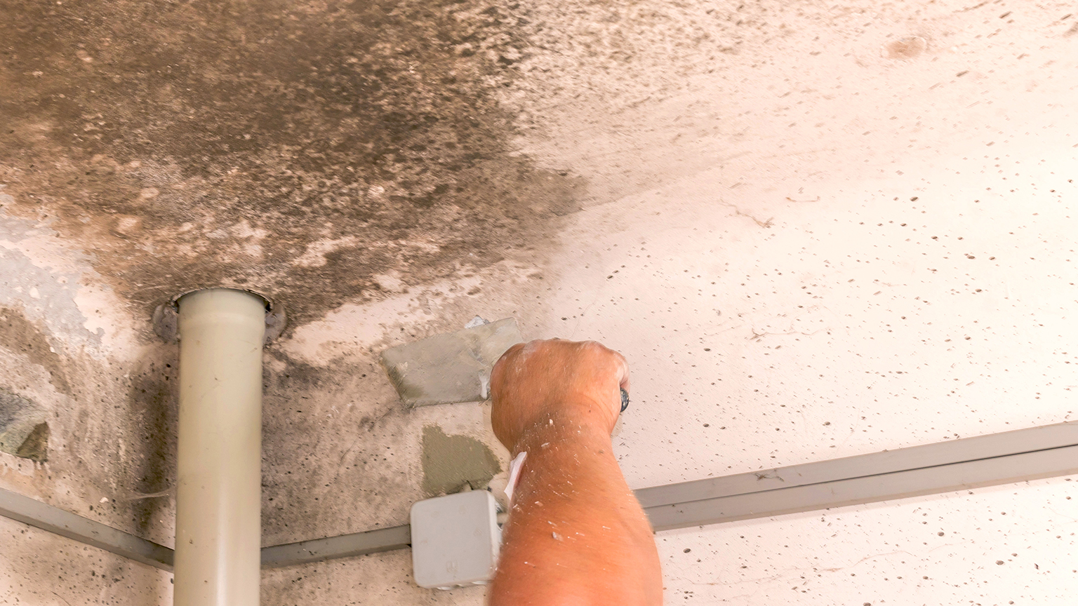 Handwerker entfernt Schimmel und Verfärbungen von einer Garagendecke.