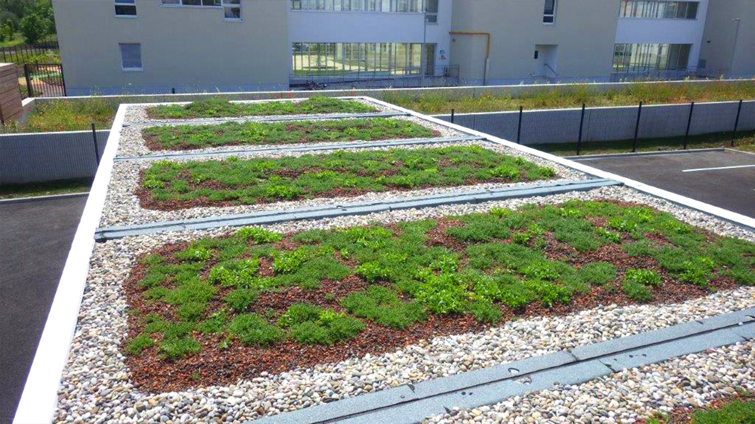 Flachdach mit extensiver Begrünung und Kiesrand.
