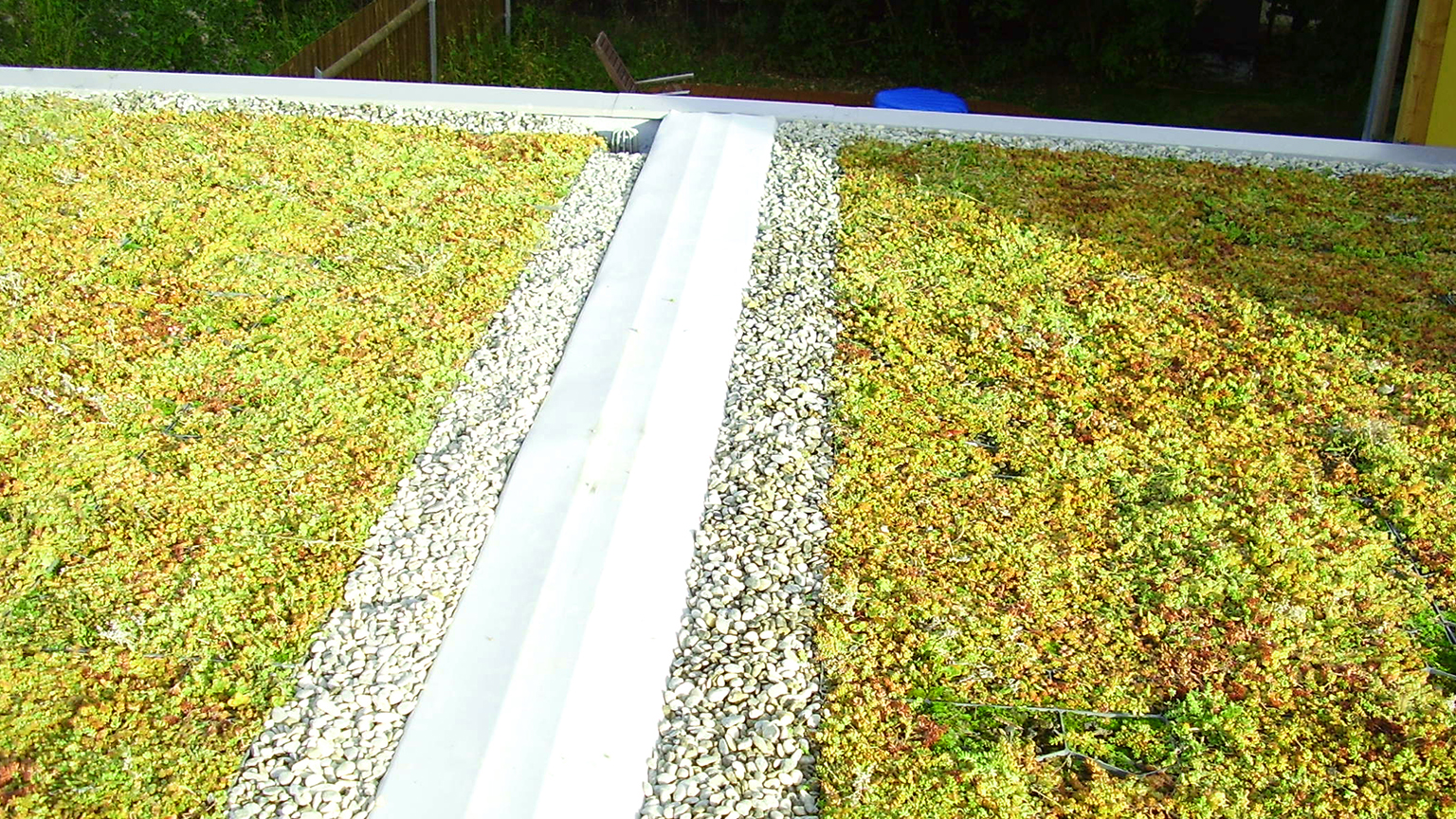 Garagendach mit extensiver Dachbegrünung und mittigem Kiesstreifen.