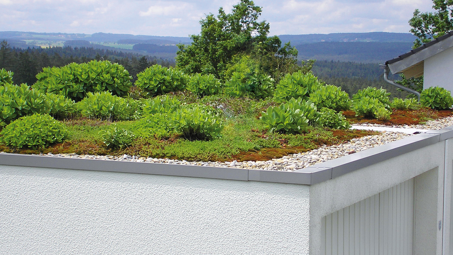 Toiture végétalisée sur un garage préfabriqué en milieu rural Toit plat végétalisé d’un garage préfabriqué blanc avec bordure de gravier, sedum, mousse et plantes basses devant un paysage vallonné boisé de ZAPF